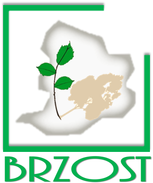 logo_brzost